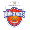 https://img.chengedeco.com/img/basketball/team/64ebad84d649b59c4730cd604dac0dc2.png