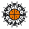 https://img.chengedeco.com/img/basketball/team/7867484d13e764d133889a17852c3d8a.png