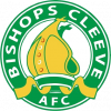 https://img.chengedeco.com/img/football/team/117b9f710567cff1ff00b73ceca460da.png